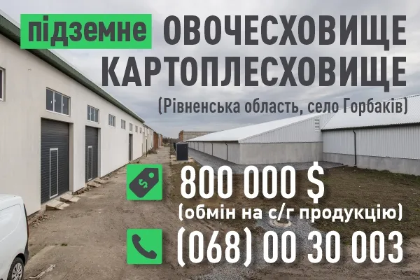 Овочесховище - продаж